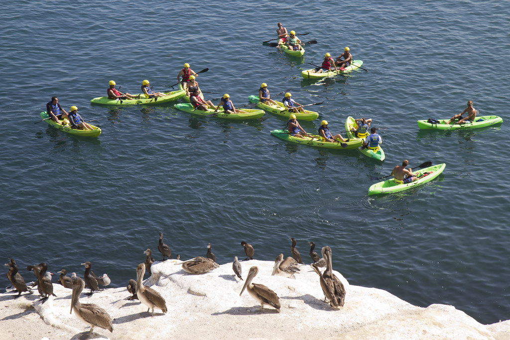 La-Jolla-Kayakers.jpeg